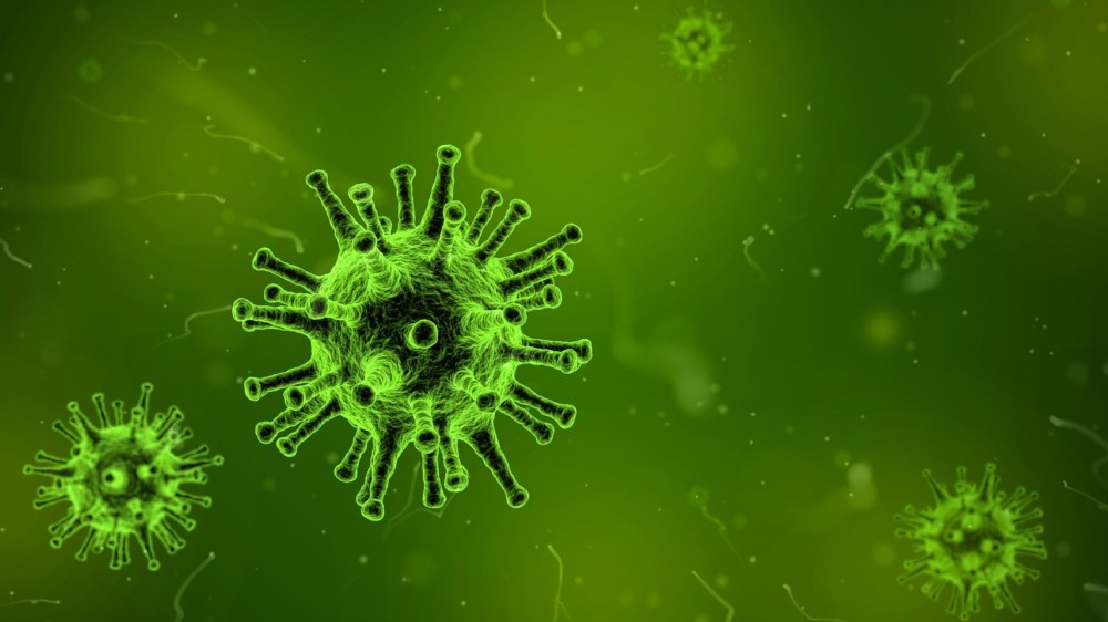 virus